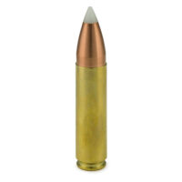 450 bushmaster ammo - 240 grain high velocity cartridge